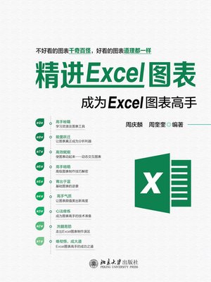 cover image of 精进Excel图表